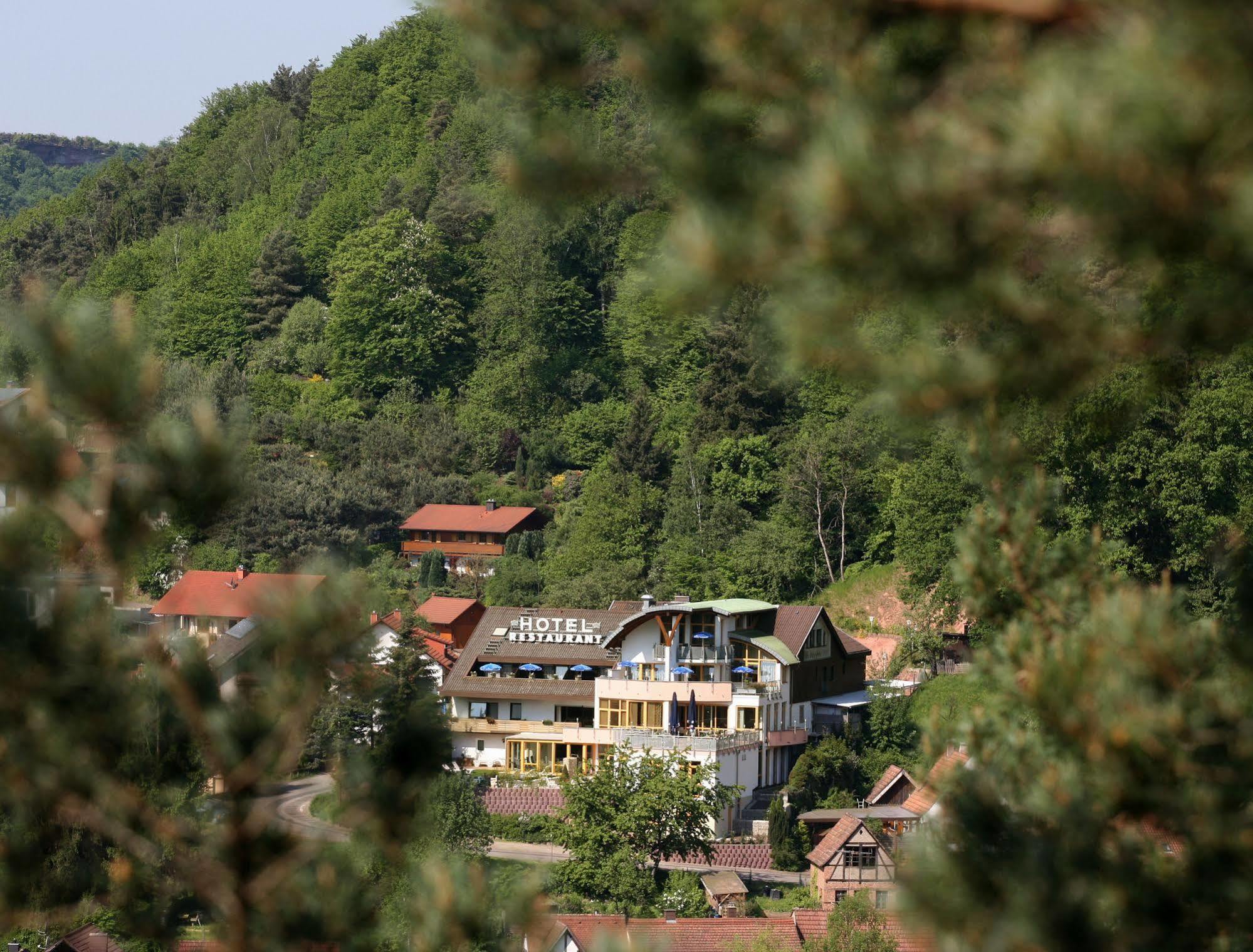 Hotel Am Hirschhorn - Wellness - Spa - And More Wilgartswiesen Exterior foto